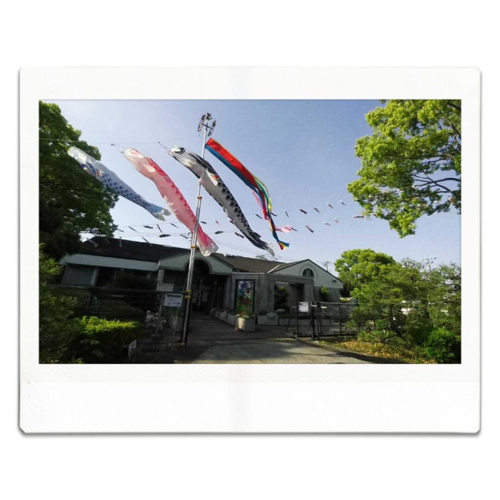東綾瀬公園で撮れる鯉のぼり３